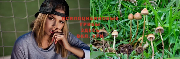 круглые Семилуки