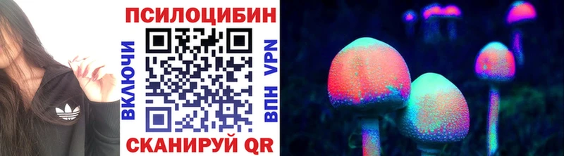 Галлюциногенные грибы мицелий Сясьстрой